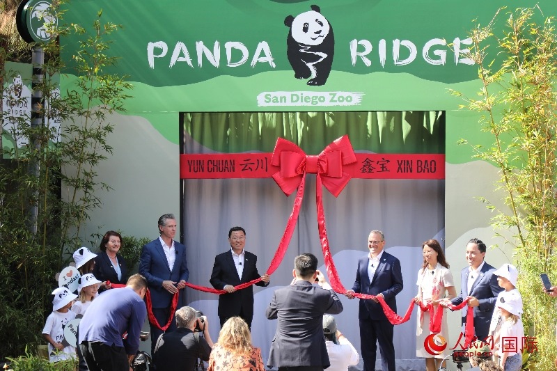 1、中國駐美國大使謝鋒、加州州長紐森、圣迭戈市市長格洛利亞等人共同為“熊貓嶺”開館剪彩。 人民網(wǎng)記者 李志偉攝