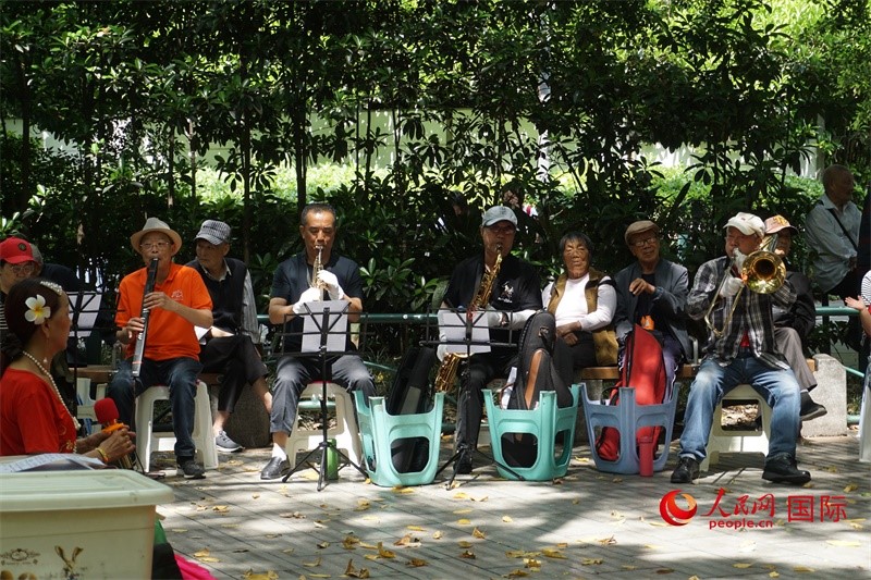 成都居民在公園里演奏歌曲。人民網(wǎng) 王禹蘅攝