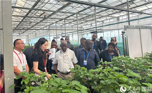 研討班成員在大棚中了解植物種植技術(shù)。人民網(wǎng) 曹欣悅攝