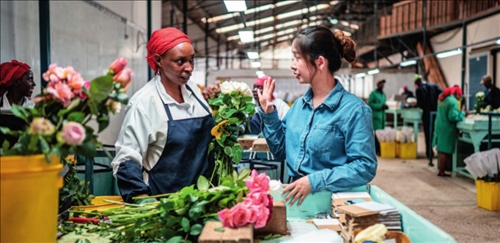 湖南璽悅國際貿(mào)易有限公司負責人黃梓楠（右）在肯尼亞納紐基的坦布濟花卉農(nóng)場挑選鮮花（2024 年 5 月 18 日攝）王冠森攝 / 本刊