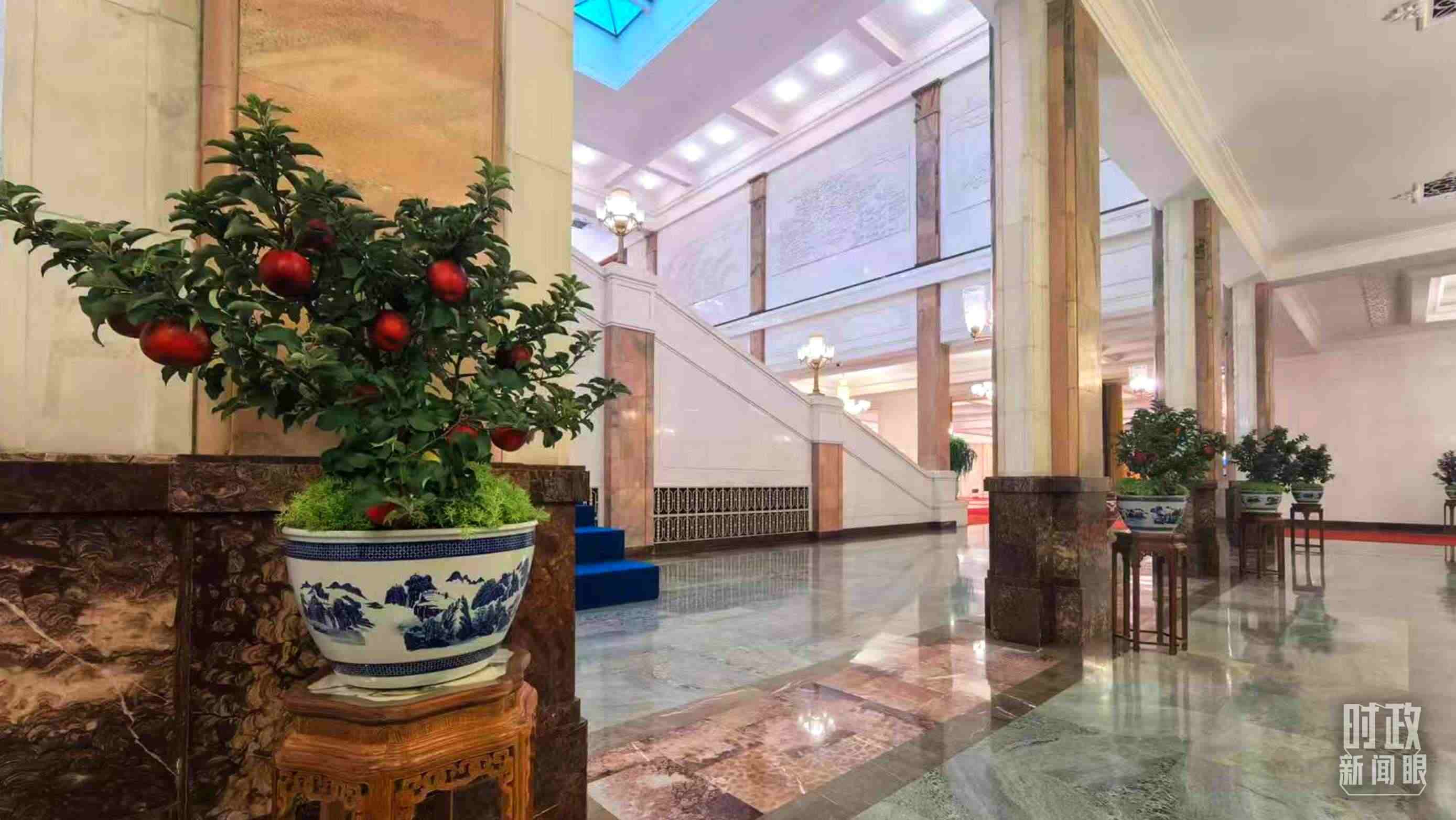  △大會堂內的“碩果累累”盆栽。（總臺國廣記者吳倩拍攝）