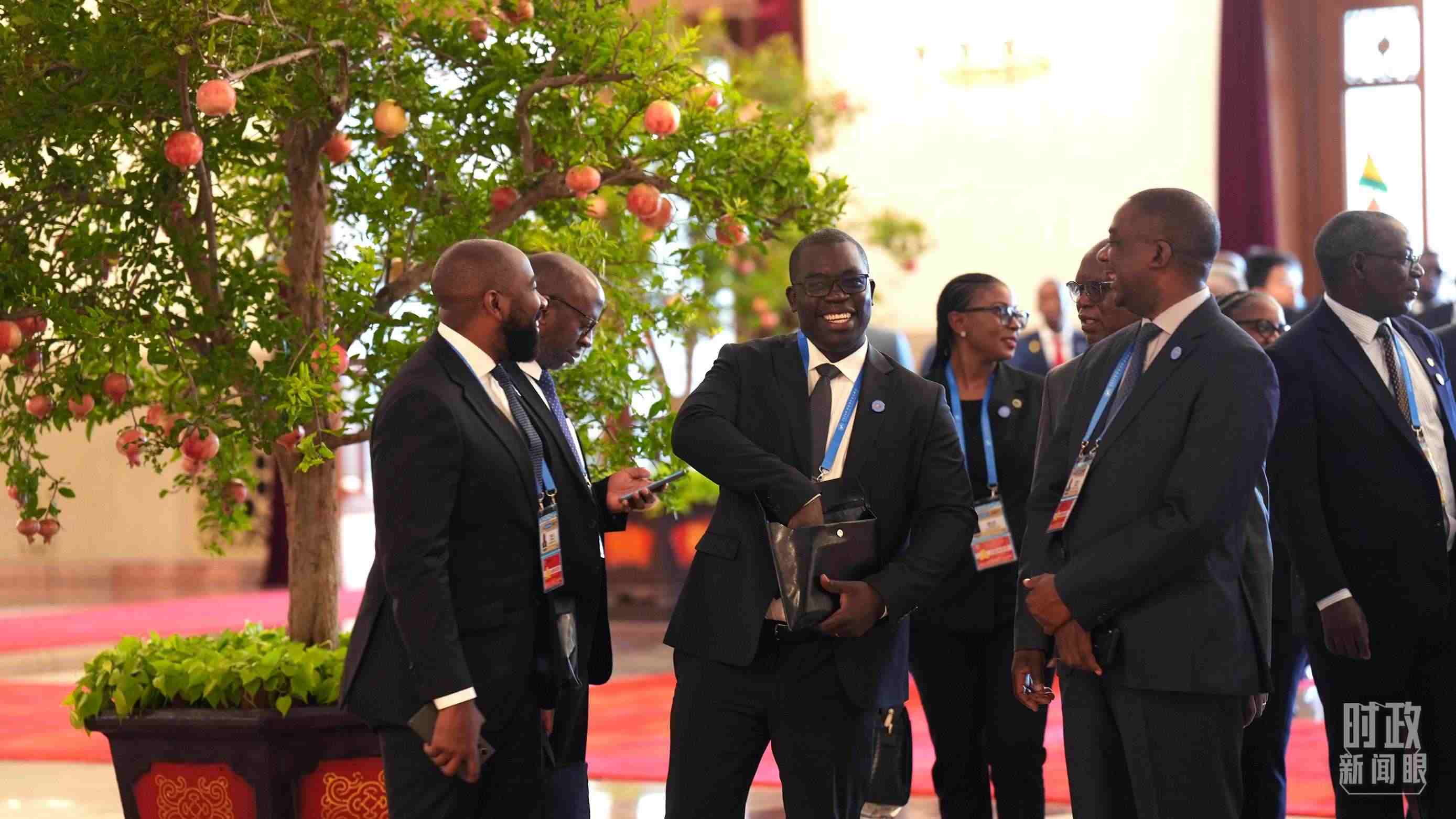 出席中非合作論壇北京峰會的非洲國家代表。（總臺記者李晉拍攝）