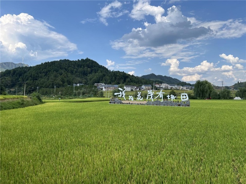 青瓦白磚的黔北民居、風(fēng)中搖曳的稻田、抬手可觸的大片云朵……才剛下車(chē)，格魯吉亞“經(jīng)濟(jì)中心網(wǎng)”總編輯莉安娜·喬爾喬利亞尼就被眼前的景色拖住了步履，喃喃細(xì)語(yǔ)：“實(shí)在太美了，讓我內(nèi)心平靜，在這里生活一定非常安逸和幸福?！保ㄇ褫x攝）