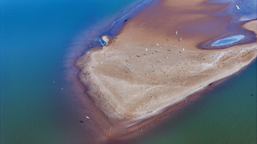 2024年3月1日拍攝的黃河寧夏段（無(wú)人機(jī)照片）。