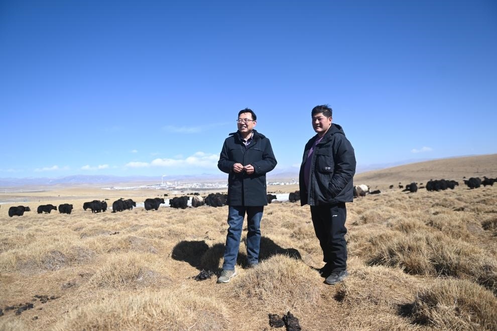 2023年2月24日，在青海省海北藏族自治州海晏縣青海湖鄉(xiāng)達(dá)玉日秀村，全國人大代表董全民（左）查看牧民東知布家的草場。新華社記者 張龍 攝