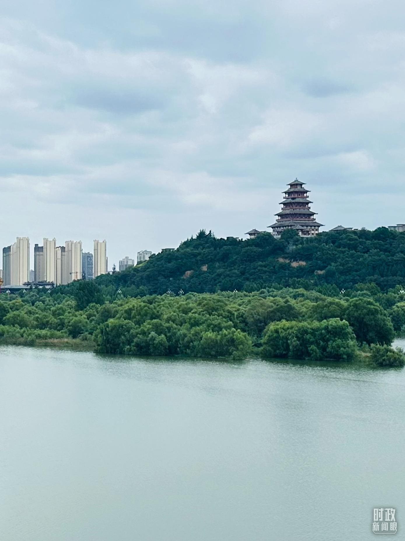 △渭河寶雞段長224公里，目前建成17處渭河灘區(qū)生態(tài)涵養(yǎng)區(qū)。（總臺央視記者范一鳴拍攝）