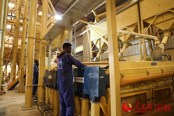 在Bule Hora咖啡加工廠里工作的當?shù)毓と藗儭Ｈ嗣窬W(wǎng)記者 沈小曉攝