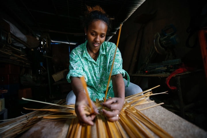 2024年8月10日，菲基爾特·加布雷在埃塞俄比亞首都亞的斯亞貝巴名為“綠色金子”的竹藤工作室里加工竹制產(chǎn)品。新華社發(fā)（邁克爾·特韋爾德 攝）