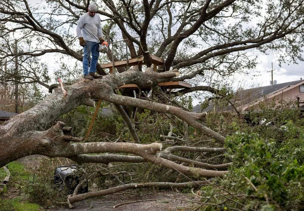2021年8月30日，在美國路易斯安那州霍馬，一名男子站在被颶風吹倒的大樹上。新華社發(fā)（尼克·瓦格納 攝）