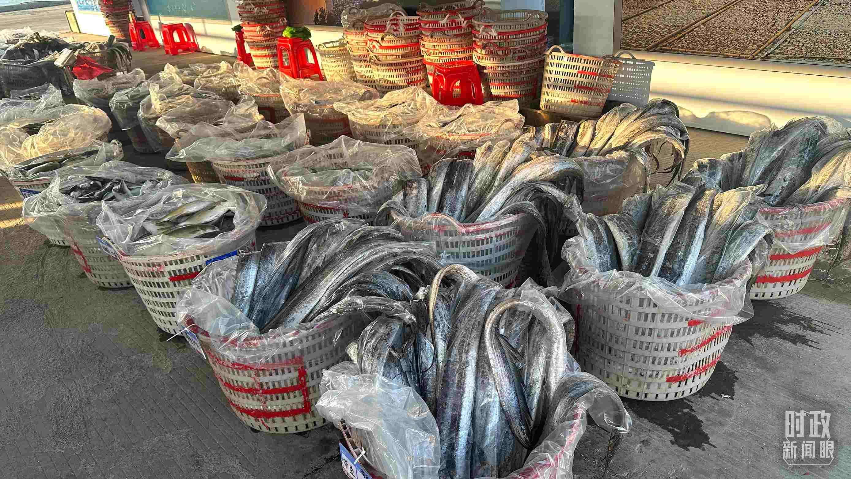 △澳角村的海產(chǎn)品。（總臺央視記者覃思拍攝）