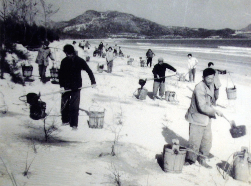 上世紀(jì)東山百姓在沙灘造林（資料照片）。
