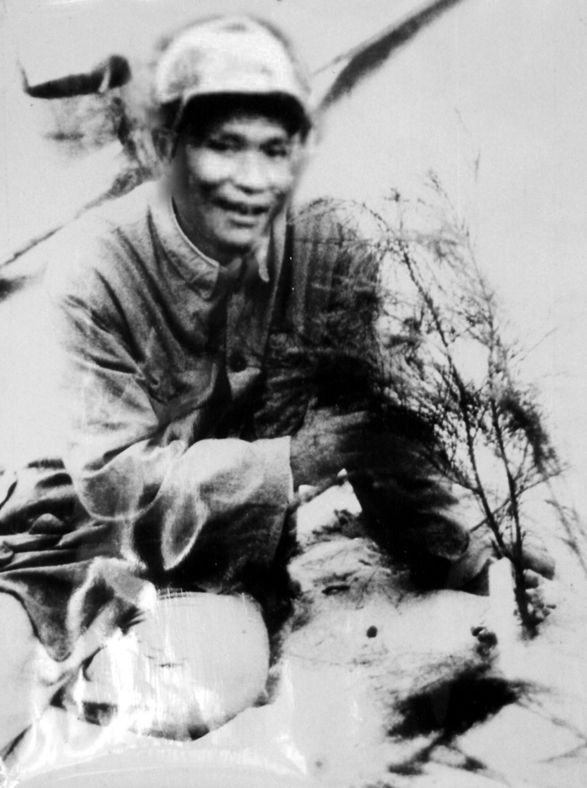 谷文昌與試種成活的木麻黃（資料照片）。為了治沙，谷文昌爬遍了東山縣400多個(gè)山頭，踏遍了30多公里的沙灘，終于帶領(lǐng)東山人民試種木麻黃成功。