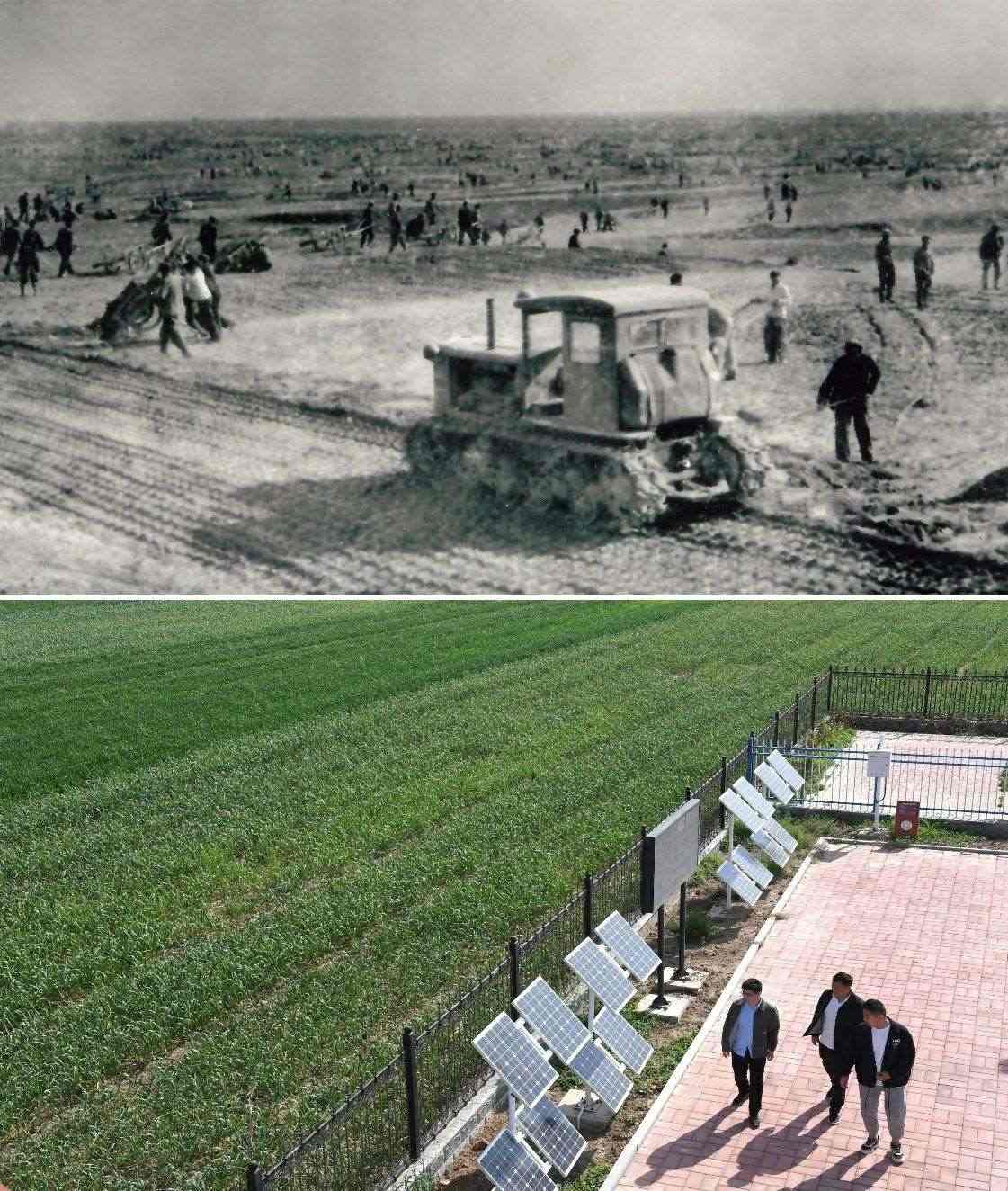 上圖為二十世紀(jì)六十年代蘭考改造鹽堿地的情景（資料照片）；下圖為2024年4月18日拍攝的蘭考縣紅廟鎮(zhèn)高標(biāo)準(zhǔn)農(nóng)田示范區(qū)。（新華社記者 朱祥 攝）