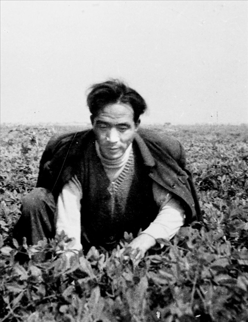 在蘭考期間，焦裕祿在田間勞動(dòng)的情景。