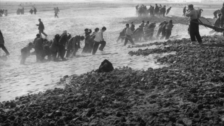 蘭考群眾在拉淤土壓沙。（新華社記者 鄧歷耕 攝）