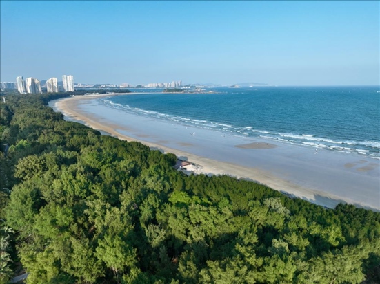 郁郁蔥蔥的東山縣沿海防護(hù)林（無(wú)人機(jī)拍攝）。新華社記者 姜克紅 攝