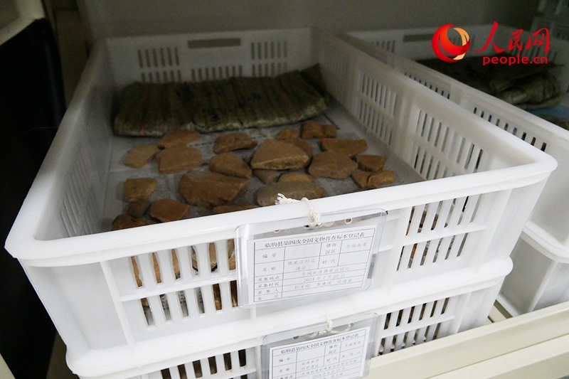 已經(jīng)整理完畢的文物標(biāo)本。人民網(wǎng)記者 韋衍行攝