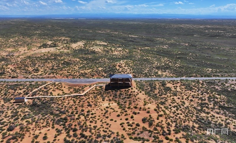 古浪縣一代代人治沙不息，讓綠色向沙漠深處不斷延伸（央廣網(wǎng)記者 李紅軍 攝）