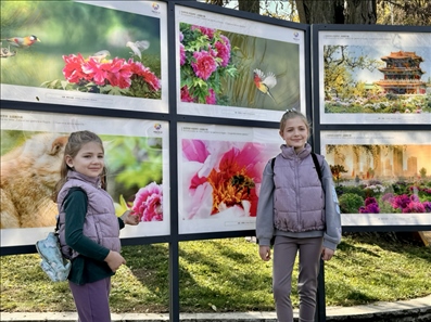 活動(dòng)現(xiàn)場(chǎng)。中國(guó)駐保加利亞大使館供圖。