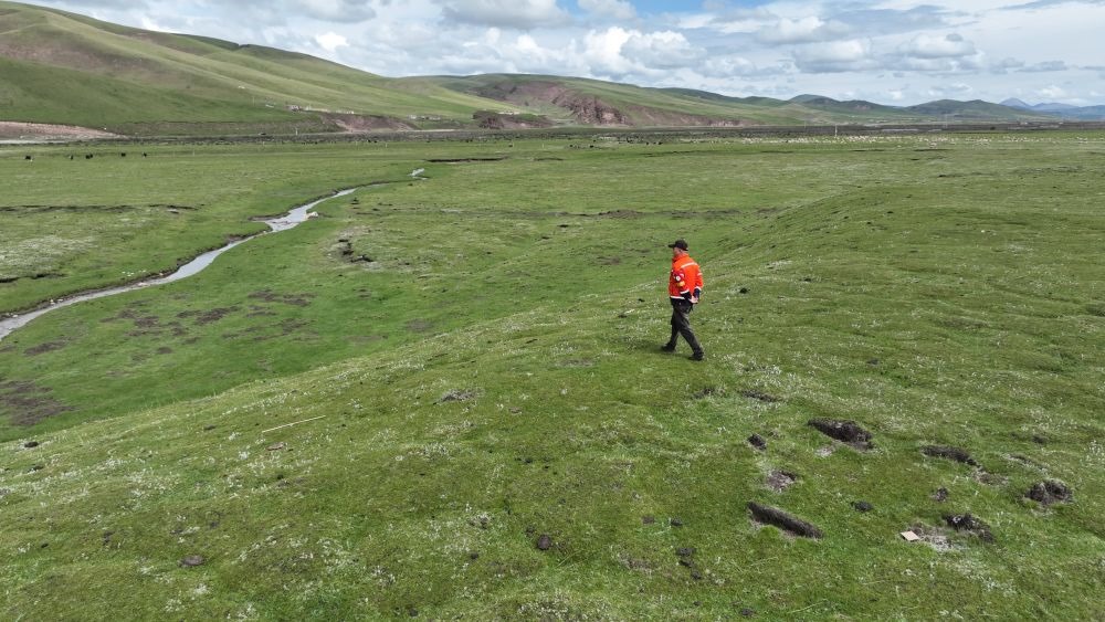 9月24日，生態(tài)管護(hù)員那瓦才郎在草場(chǎng)上巡護(hù)。（受訪者供圖）