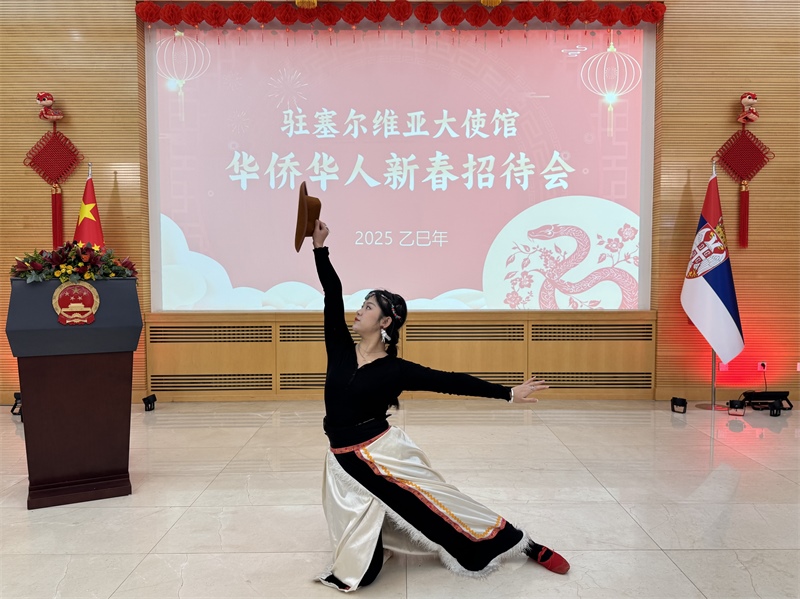 招待會(huì)現(xiàn)場(chǎng)表演。諾維薩德孔子學(xué)院供圖