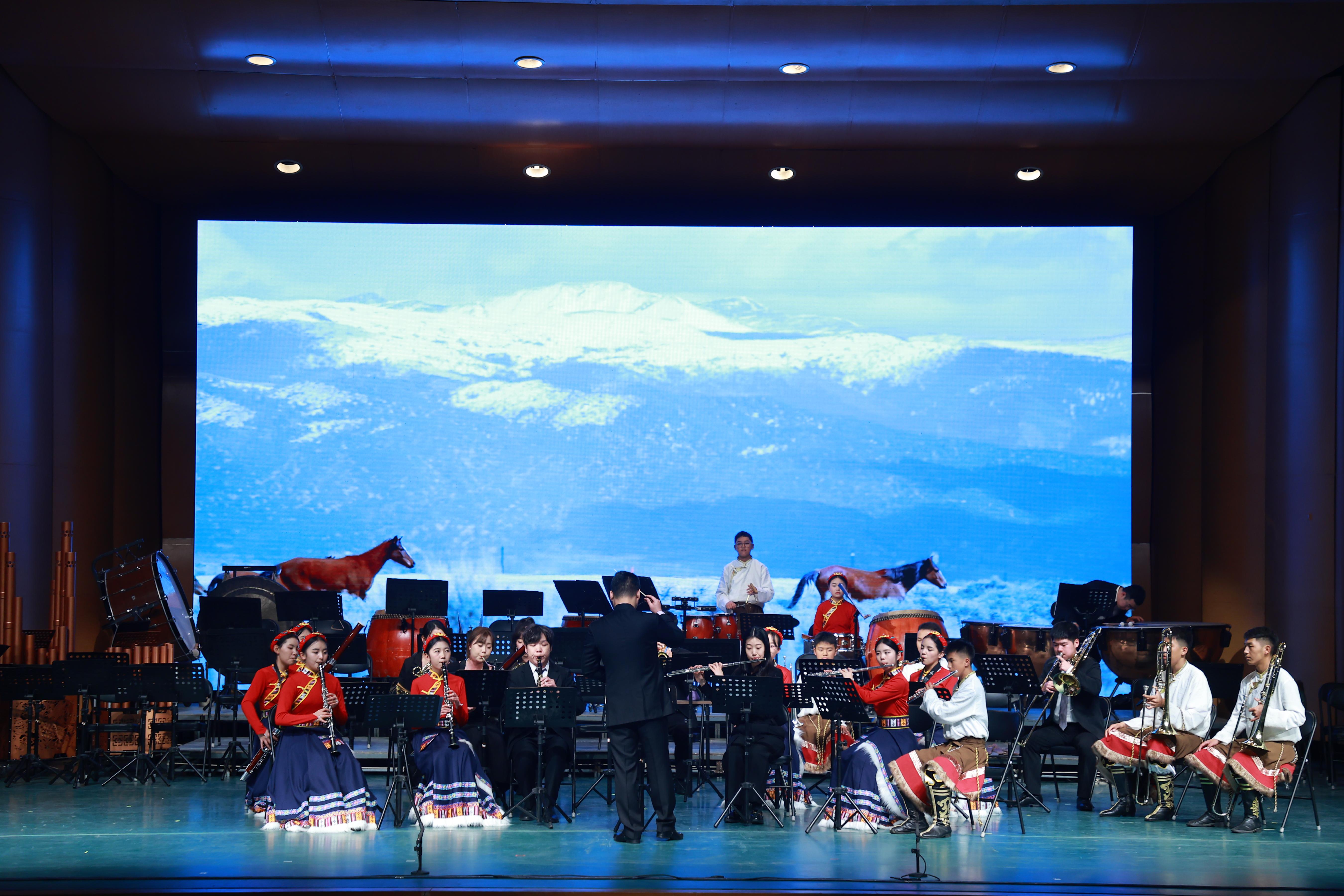 音樂會展演現(xiàn)場。（主辦方供圖）