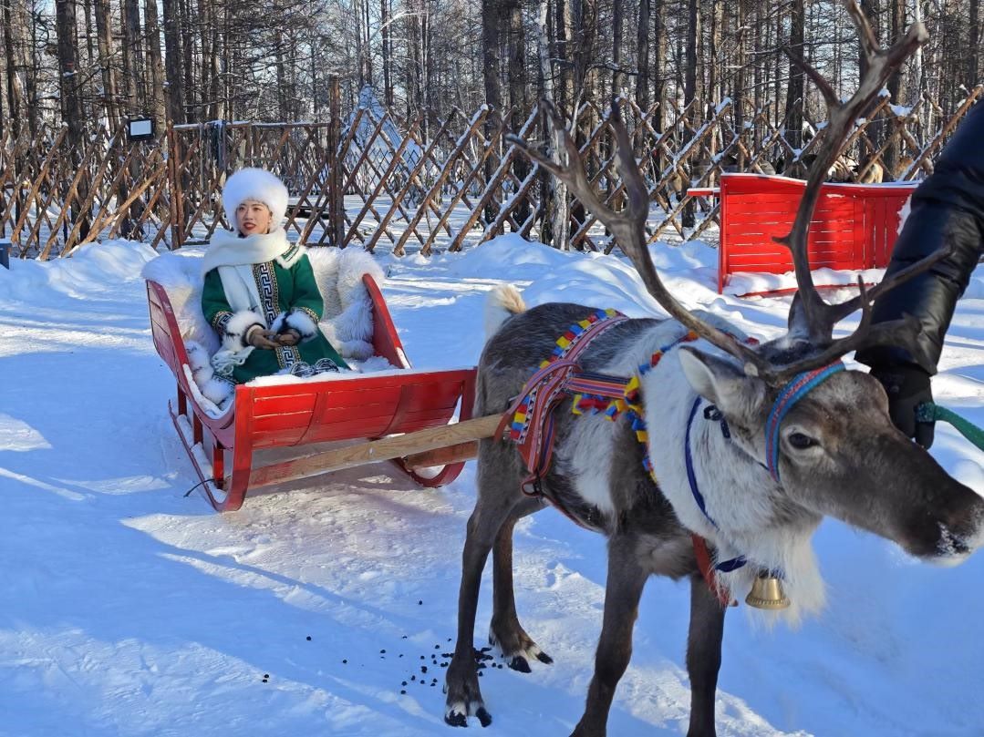 游客體驗(yàn)馴鹿拉雪橇。人民網(wǎng)記者 苗陽(yáng)攝