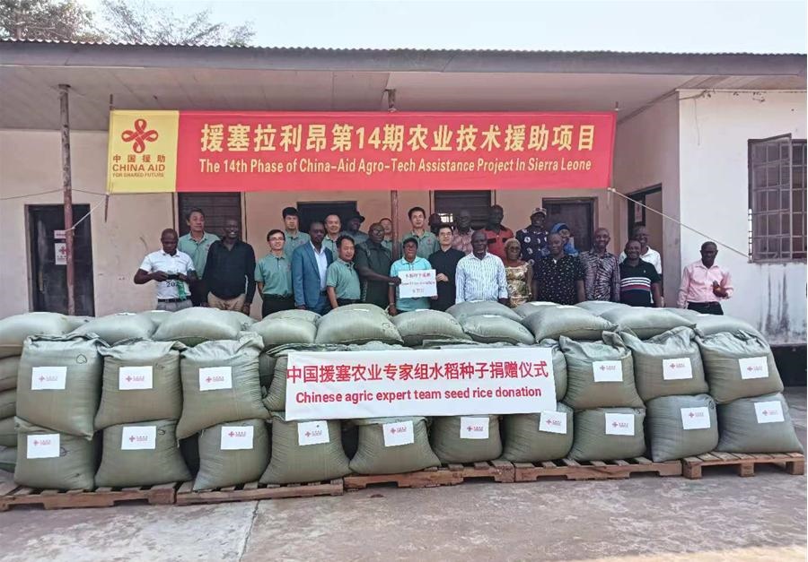 中國援塞拉利昂農(nóng)業(yè)專家組在塞南方省博城舉辦水稻種子捐贈儀式。中國援塞農(nóng)業(yè)專家組供圖