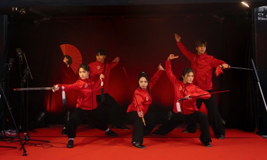 武術(shù)表演。中國(guó)駐芬蘭大使館供圖