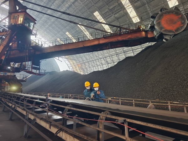 趙善國(guó)（右）和同事對(duì)電廠煤場(chǎng)進(jìn)行巡檢。受訪者供圖