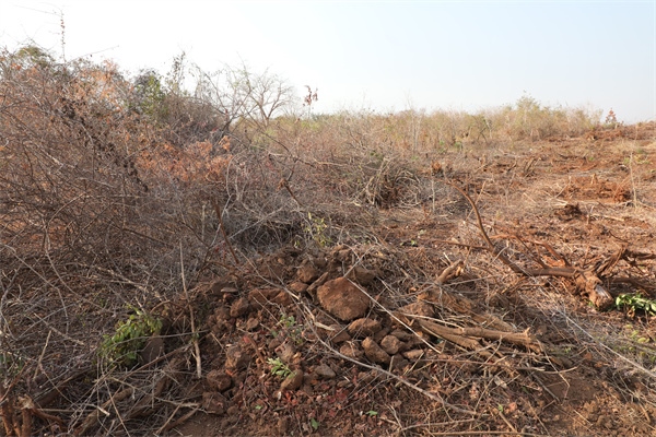 施工現(xiàn)場。張曉昆攝