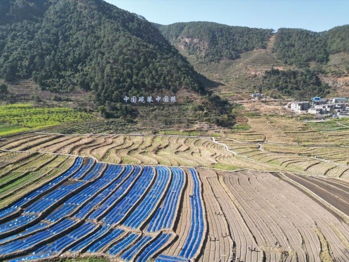 △近日，四川涼山一現(xiàn)代農(nóng)業(yè)園春耕育秧搶農(nóng)時。