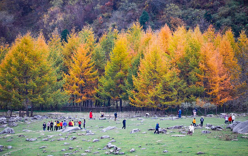 2023年10月27日，深秋時(shí)節(jié)的陜西秦嶺太子嶺五彩斑斕，進(jìn)入最佳觀賞期。