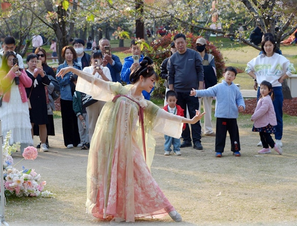 清明假期期間，上海顧村公園櫻花島上，游客在觀賞國風漢服快閃表演。（圖片來源：視覺中國）