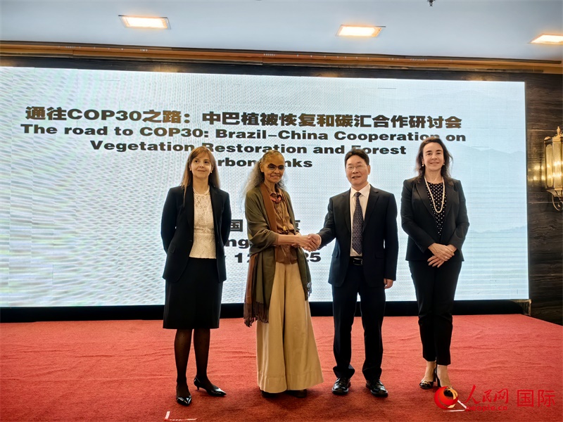 中國國家林業(yè)和草原局副局長李云卿（右二）、巴西環(huán)境和氣候變化部部長瑪麗娜·席爾瓦（左二）、巴西財政部副部長羅熙丹（右一）、巴西駐華大使館公參樂美（左一）出席“通往COP30之路：中巴植樹造林和碳匯合作研討活動”。人民網(wǎng)記者 符園園攝