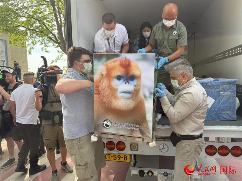 圖為活動現(xiàn)場。人民網(wǎng)記者 牛瑞飛攝